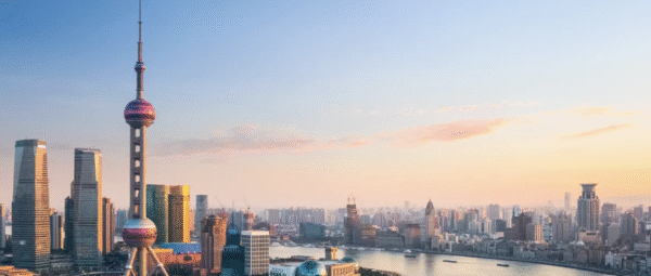 Business and Tech Lessons Package